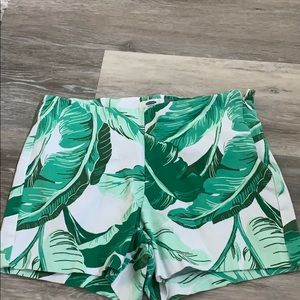 palm tree shorts